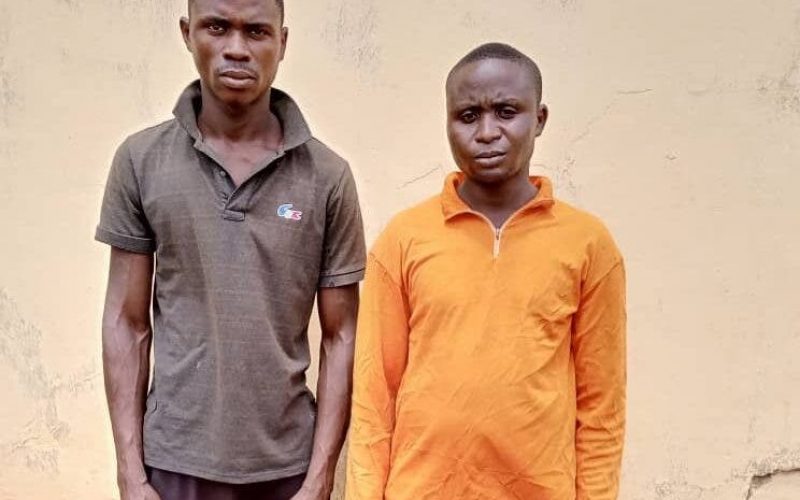Herbalist, bricklayer arrested over killing of housewife for ritual