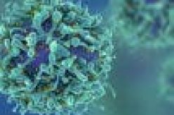 Cancer can start from any part of body except heart ― Consultant