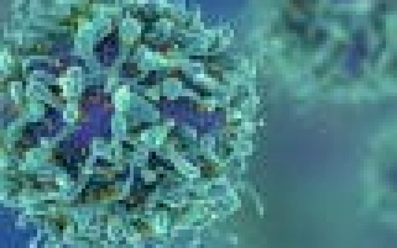 Cancer can start from any part of body except heart ― Consultant
