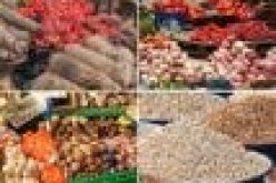 Osun unveils Food Support Scheme