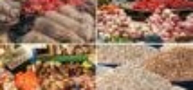 Osun unveils Food Support Scheme