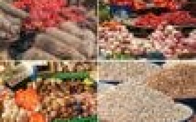 Osun unveils Food Support Scheme