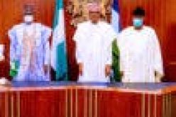 PHOTOS: Buhari receives APC new members, Gbenga Daniels, Hon. Dimeji Bankole