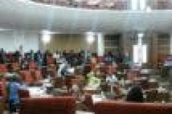 Gambian MPs vote to uphold skin-bleaching ban