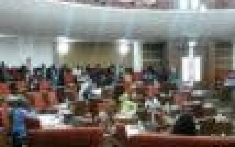 Gambian MPs vote to uphold skin-bleaching ban