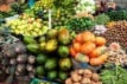 Food security: Lagos trains agric extension agents, assures priority attention