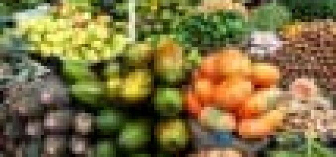 Food security: Lagos sets to launch 5yr agricultural devt roadmap