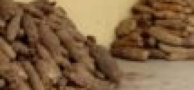 FG builds capacity of women, youths on modern yam processing
