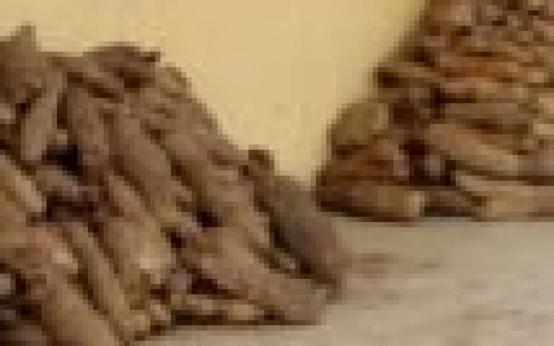 FG builds capacity of women, youths on modern yam processing