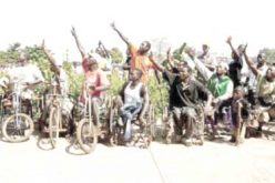 Dutch Foundation appoints LMN Strategic Partner to address issues on disability