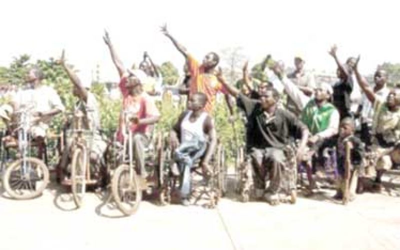 Dutch Foundation appoints LMN Strategic Partner to address issues on disability