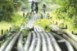 Shell pipelines spill 4,309 barrels of crude in H2’20