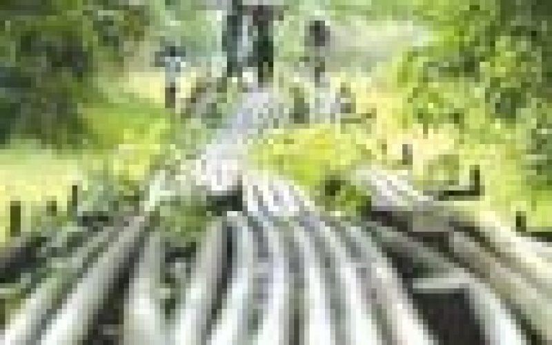 Shell pipelines spill 4,309 barrels of crude in H2’20