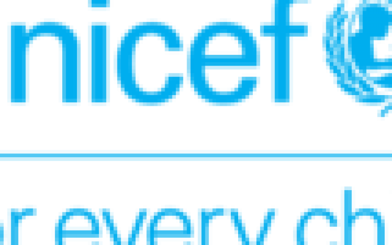Over 86% of Nigerians lack access to safe drinking water — UNICEF