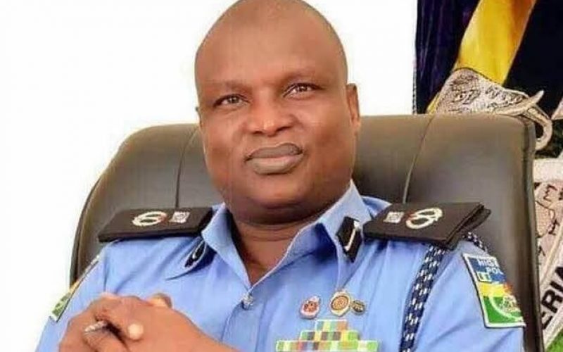 Extra-Judicial Killings: Kyari shuns panel’s summon