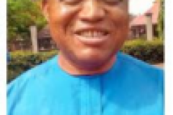 Our democracy still stuck in military tradition – Ezeanuna