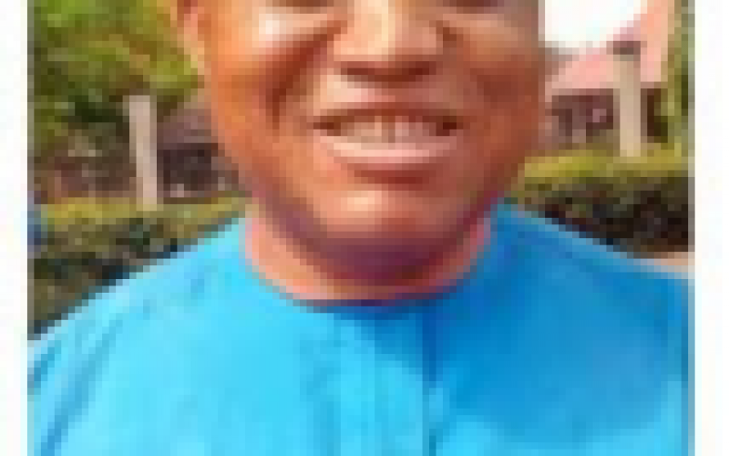 Our democracy still stuck in military tradition – Ezeanuna