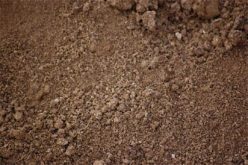 Agribusiness: NALDA graduates 269 soil doctors, agric extension workers in Borno