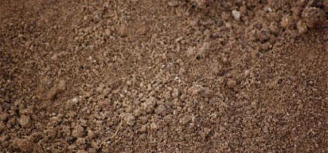 Agribusiness: NALDA graduates 269 soil doctors, agric extension workers in Borno