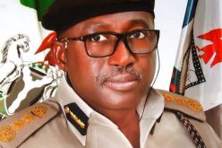 Nigeria Immigration covers only 47 of 105 diplomatic missions – CG