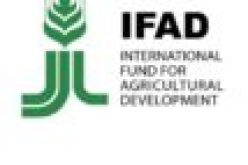 Agric Minister commends IFAD for portfolio worth $360m in Nigeria
