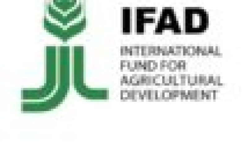 Agric Minister commends IFAD for portfolio worth $360m in Nigeria