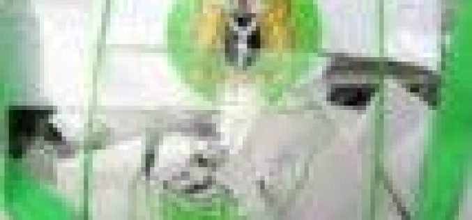 Ekiti By-Election: Yiaga Africa commends INEC over suspension of process