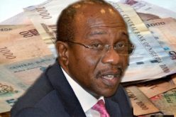 CBN boosts food security with N1.487trn