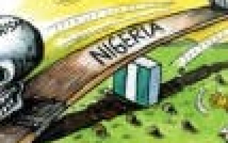 Insecurity:Experts task service chiefs to relocate to N/East for 6 months