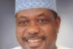 FG to establish micro enterprises in 774 LGAs — Akume