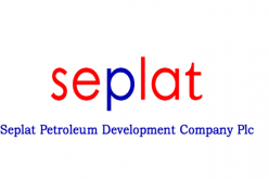 Experts chart course at Seplat education round table