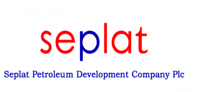 Experts chart course at Seplat education round table