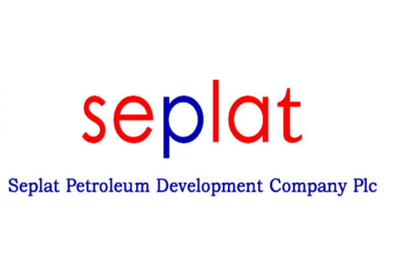 Experts chart course at Seplat education round table