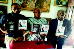 Hunger for revolutionary change inspired my writings – Amadi