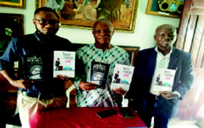 Hunger for revolutionary change inspired my writings – Amadi