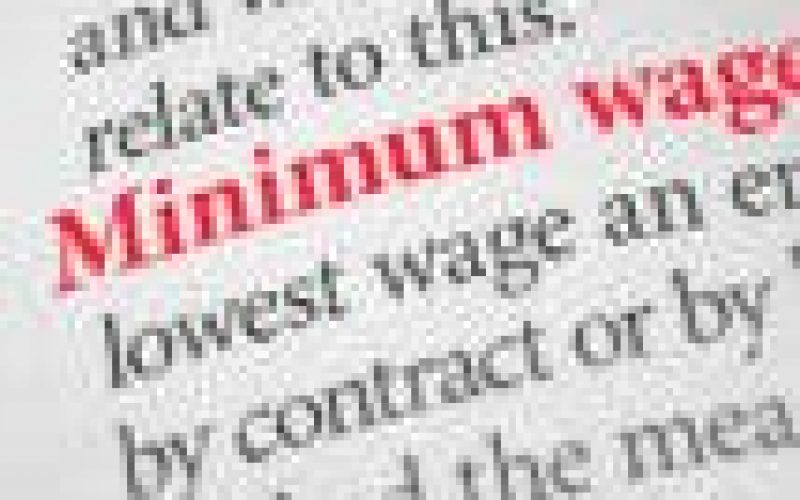 NATIONAL MINIMUM WAGE: Impracticable and unfair: Commendation for national assembly (2)
