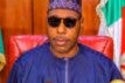 With help of local vigilante, Maiduguri safer than Abuja ― Zulum