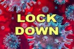 The new normal: Lockdown help tips