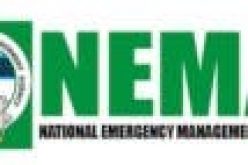 NEMA distributes relief materials to IDPs in Niger