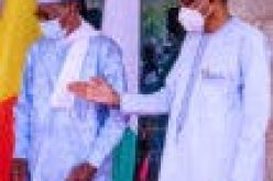 Buhari, Chadian president meet behind closed doors in Abuja