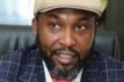 Our federal cabinet doesn’t understands Flutterwave, Paystack, but borrowing – Osita Chidoka