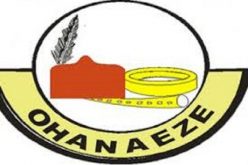 Attacks on S’East: We must explore all options of negotiation — Stakeholders urges Igbo