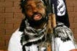 How Boko Haram vandalised towers, cut power supply to Maiduguri, environs —TCN