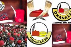 Ohanaeze warns against military deployment in S-East zone