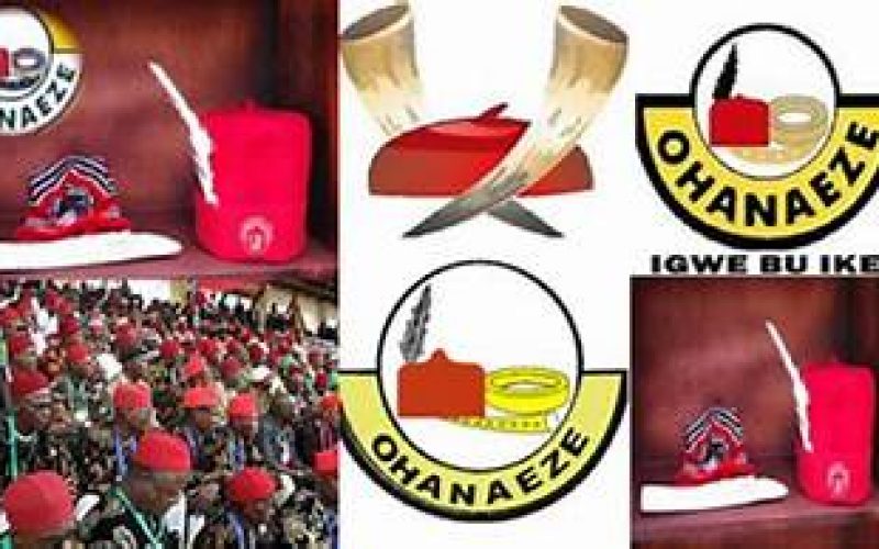 Ohanaeze warns against military deployment in S-East zone