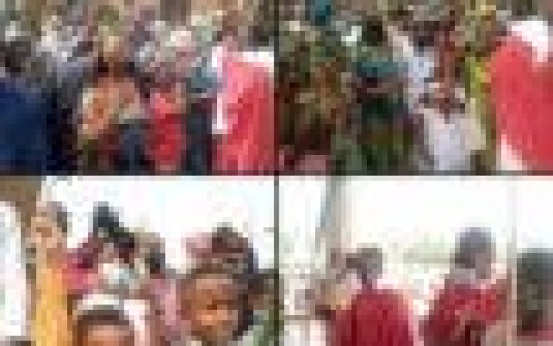 PHOTO NEWS: Palm Sunday Mass at Our Lady Queen of Nigeria