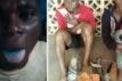 Police arrest 6 suspected robbers, cultists in Lagos, recover arms