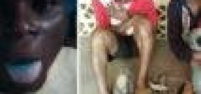 Police arrest 6 suspected robbers, cultists in Lagos, recover arms