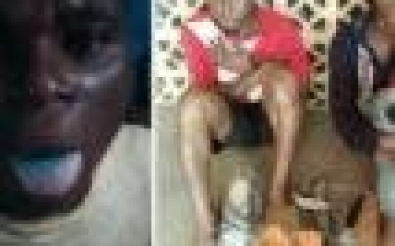 Police arrest 6 suspected robbers, cultists in Lagos, recover arms