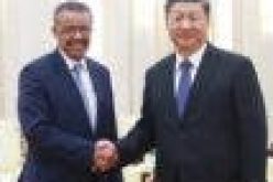 WHO chief toughens tone on China with lab probe call